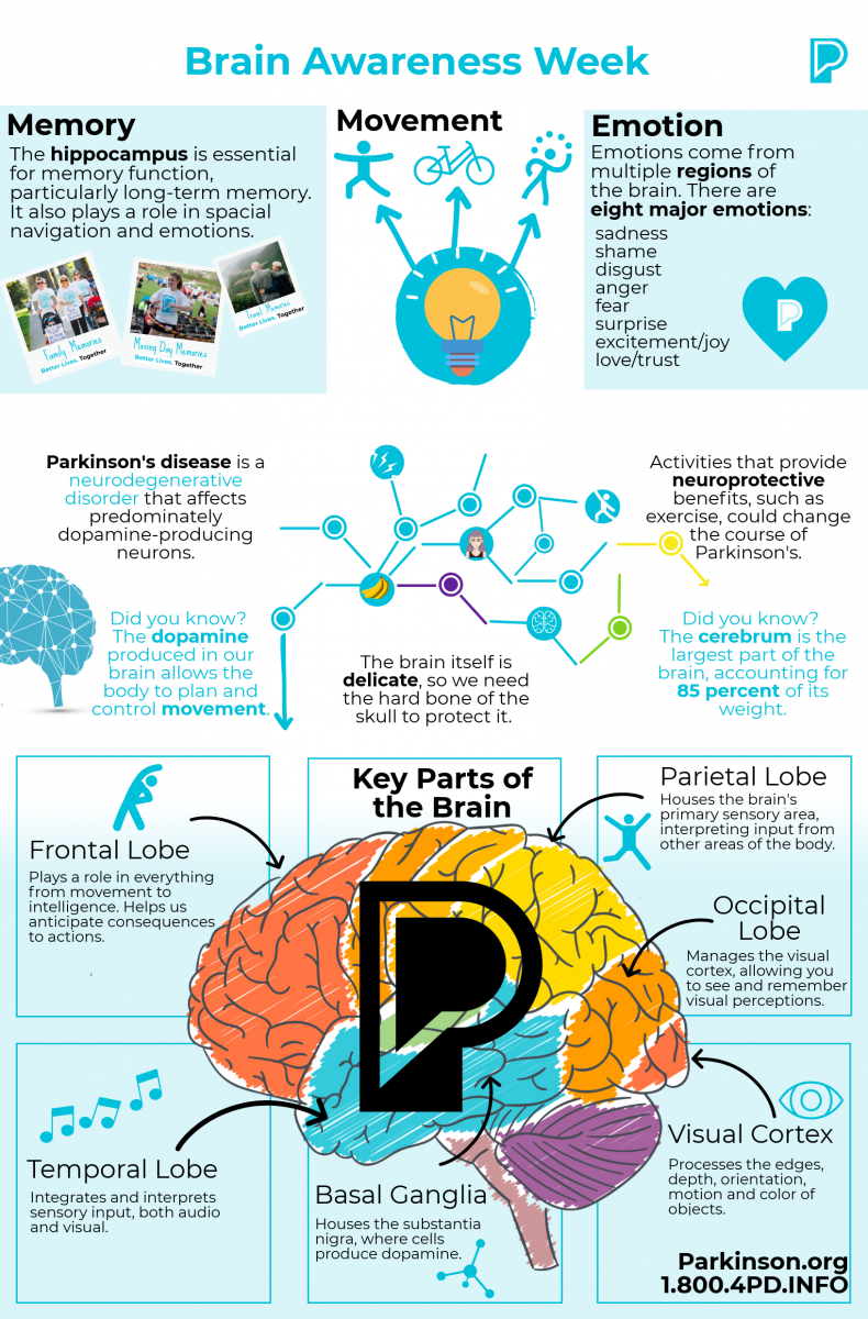 Infographic about brain awareness