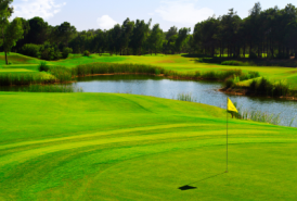 Golf course landscape