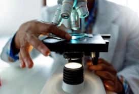 Researcher looking at a sample through a microscope