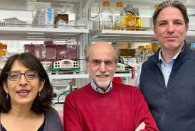 Yale researchers Sreeganga Chandra, PhD, Pietro De Camilli, MD and Shawn Ferguson, PhD