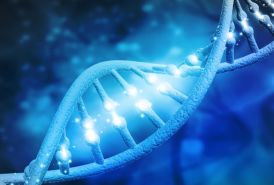 DNA