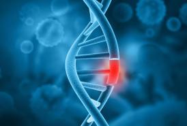 DNA double helix