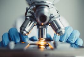 microscope