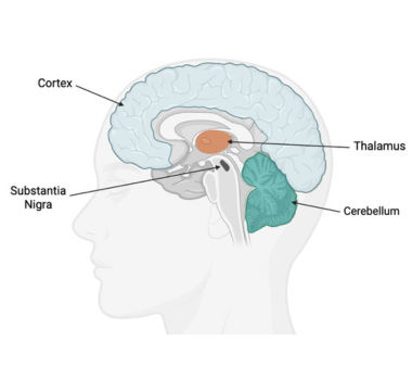 Michigan Research Center