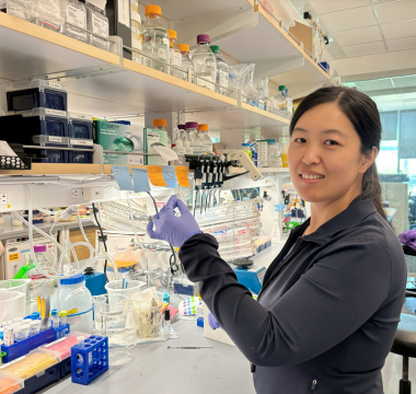 Dr. Fan working in lab