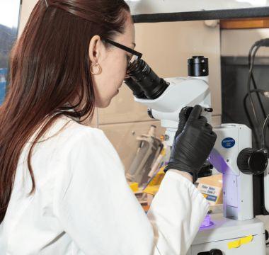 Megan Bucher looking in a microscope.