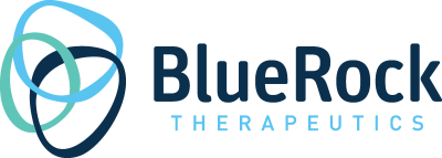 BlueRock logo