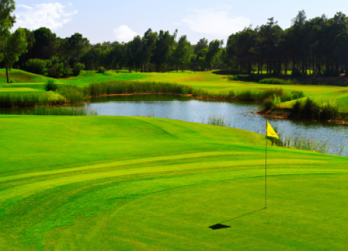 Golf course landscape