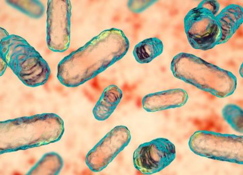 Microbiome of intestine