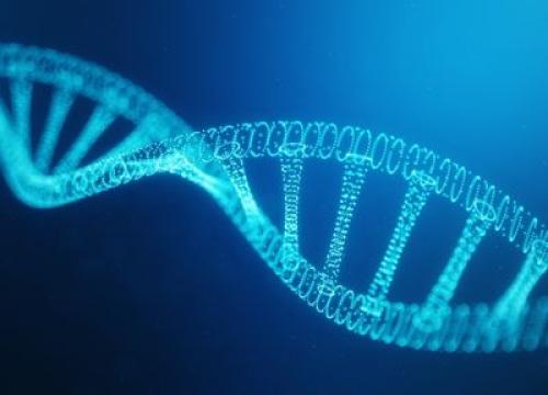 Genetic strand