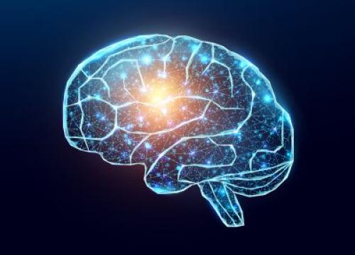 Brain Scan
