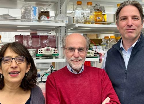 Yale researchers Sreeganga Chandra, PhD, Pietro De Camilli, MD and Shawn Ferguson, PhD