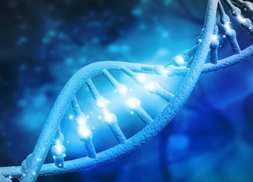 DNA