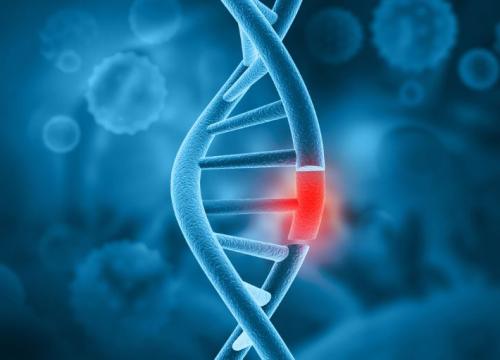 DNA double helix