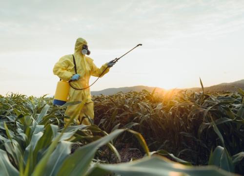 Worker spraying toxic pesticides on plantation