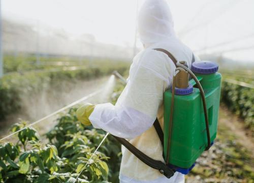 Spraying Pesticides