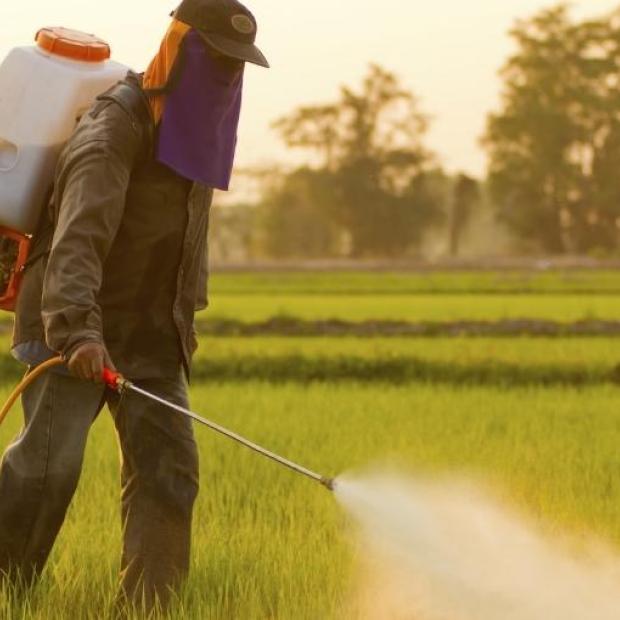 Environmental Factors