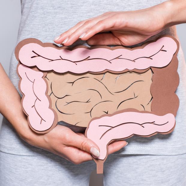 gut