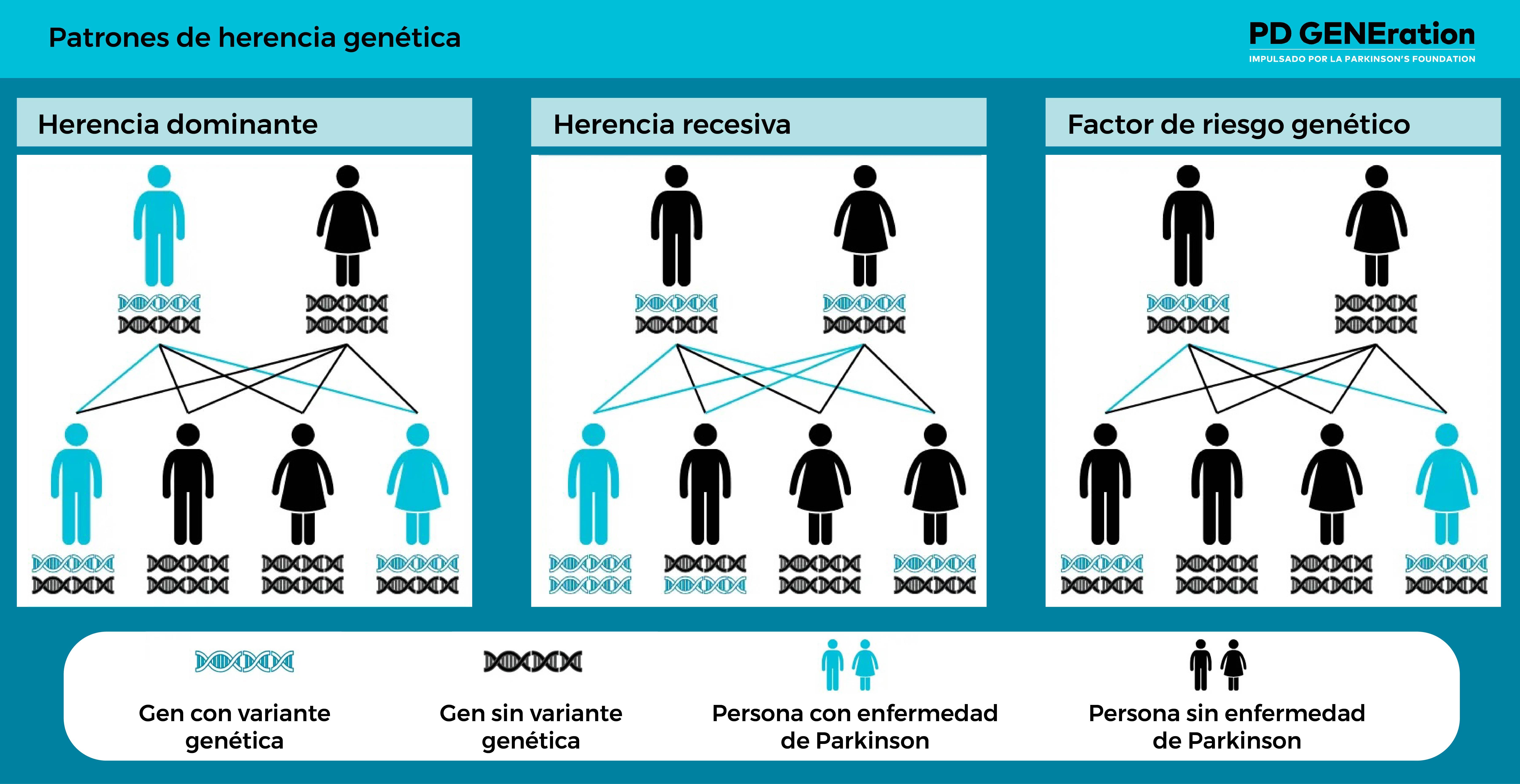 Patrones de herencia