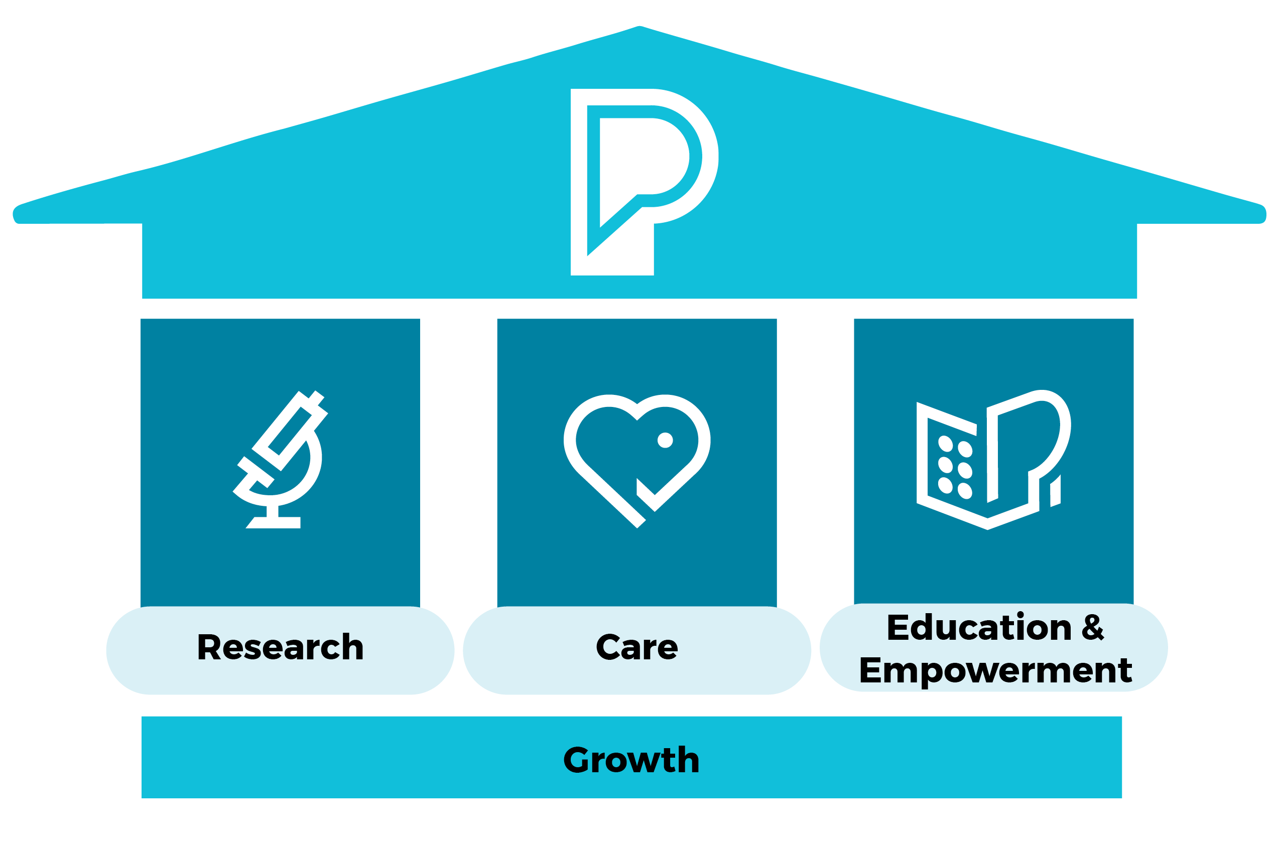 The three pillars are Research, Care and Education