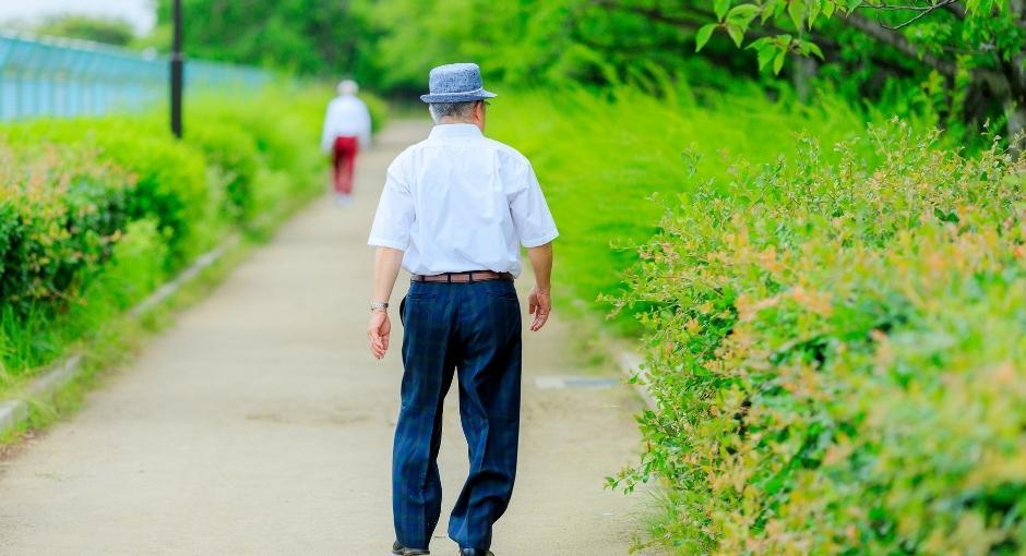 Man walking on path between fields of flowers