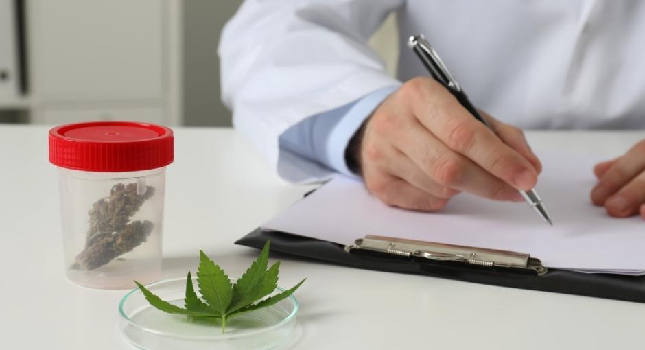 Medical cannabis research