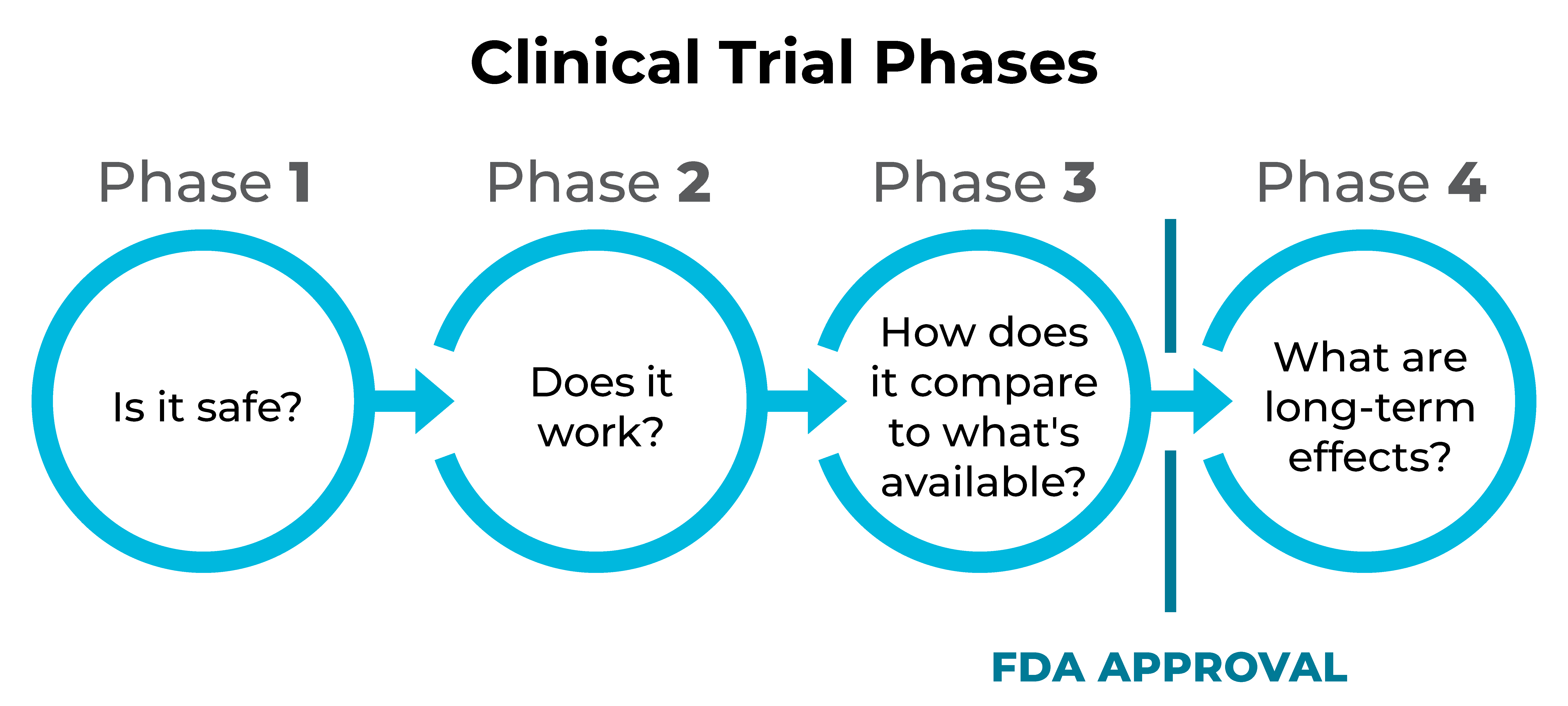 Clinical trial phases