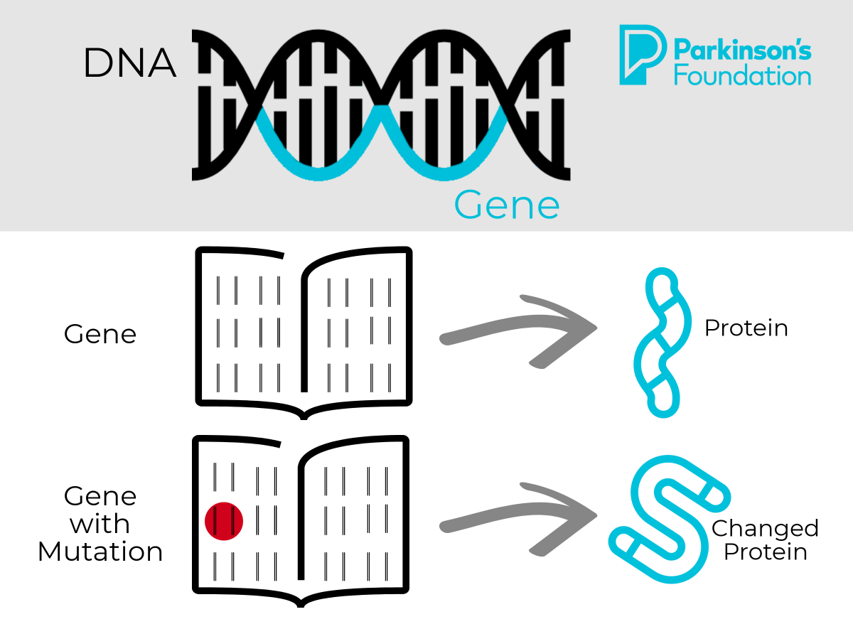 genetics graphic