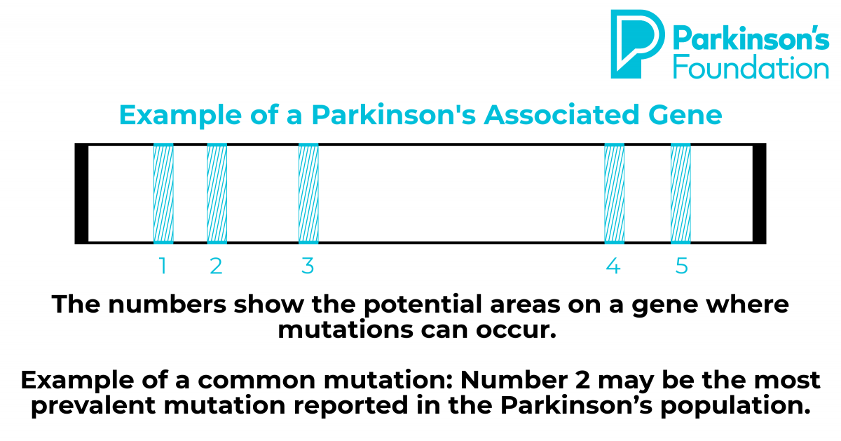 genetics graphic 3