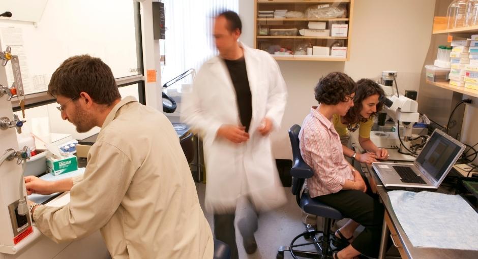 Researchers working in lab