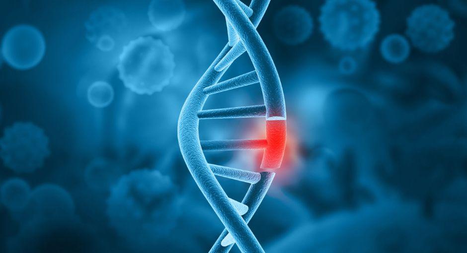 DNA double helix
