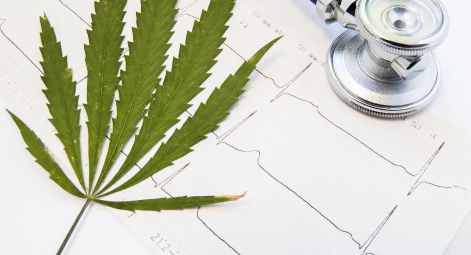 Marijuana leaf and stethoscope