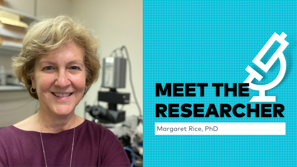 Meet the Researcher Margaret Rice