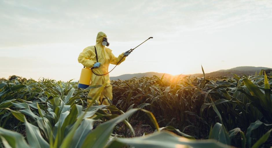 Worker spraying toxic pesticides on plantation