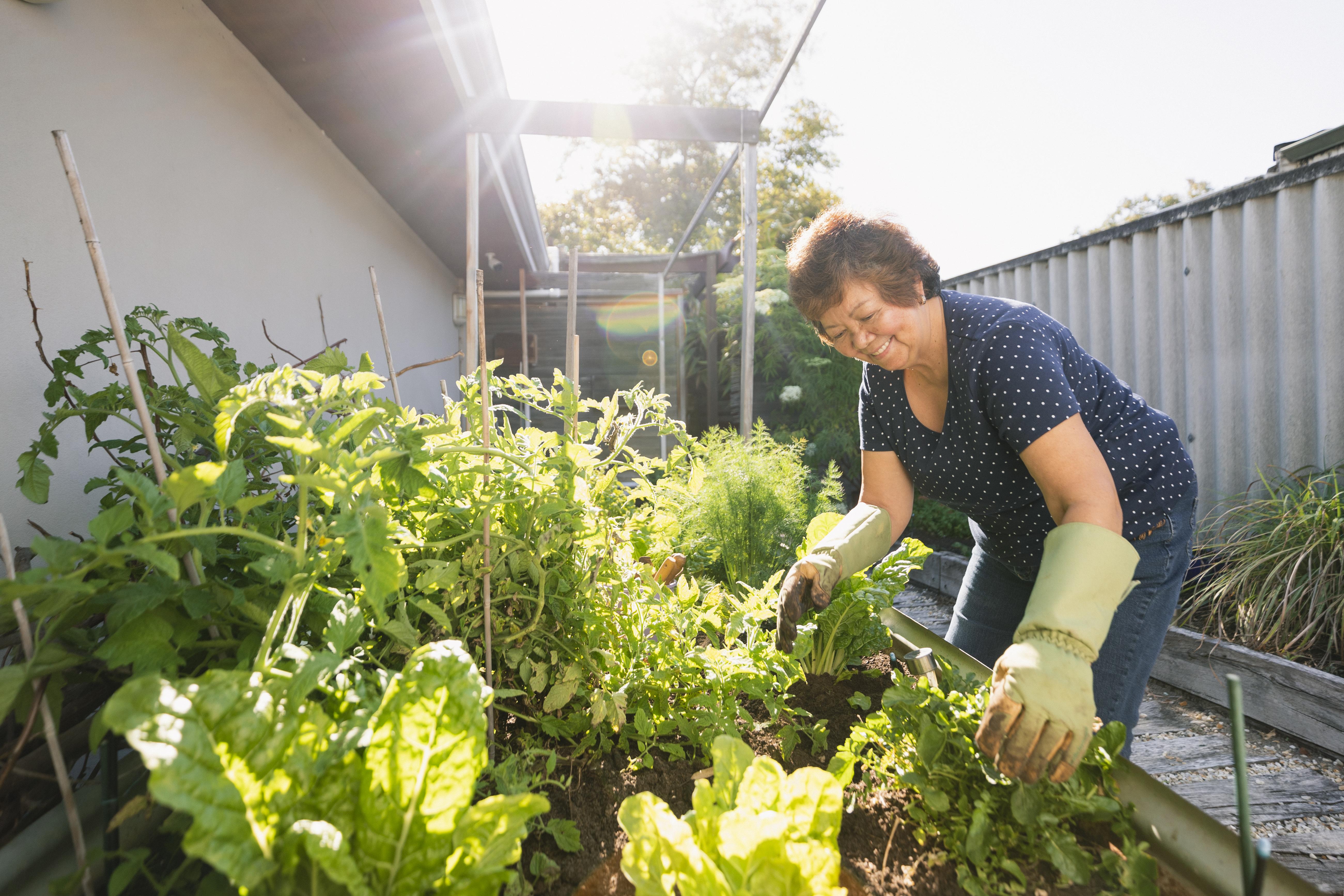 Woman planting garden 