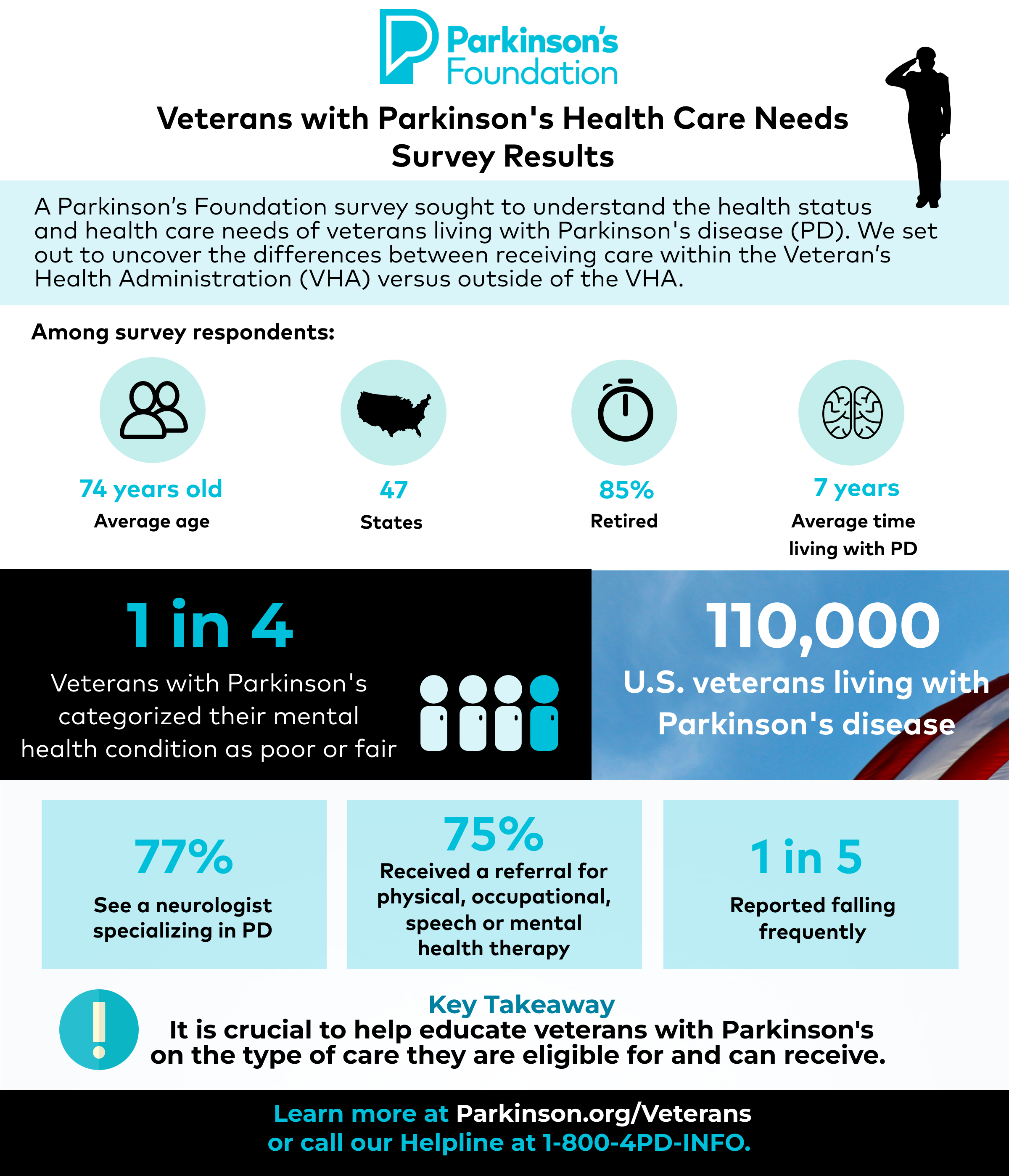 Infographic of the veterans survey results