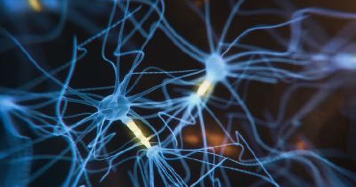 A Protein that Protects Against Brain Cell Degeneration Associated with ...