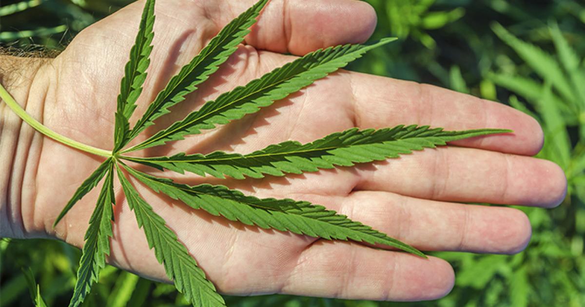 10 enfermedades para las que la marihuana medicinal podría ser beneficiosa